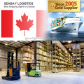 Competitive Ocean Freight From Ningbo to Montreal